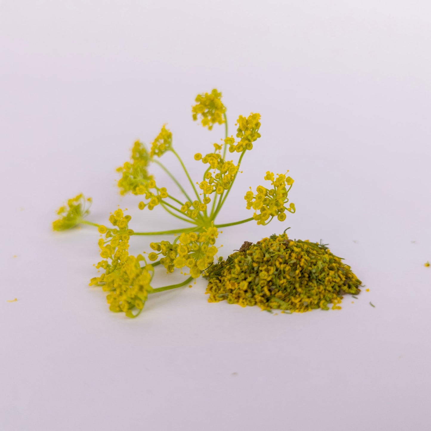 Wild Fennel Pollen